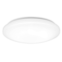 LED吸顶灯 19W φ400mm