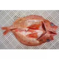 新鲜小红斑（杀好）