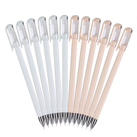 晨光 0.35mm裸色控系列中性笔全针管签字笔 12支/盒 5盒装 AGP67105