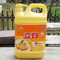 立白洗洁精 新金桔2kg瓶大桶