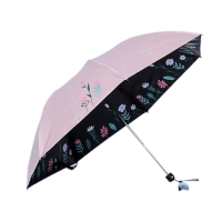 天堂伞草色青青33545E