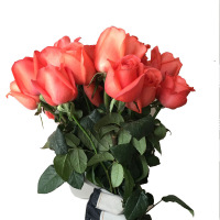 祥和鸟(XIANGHENIAO) DY 手捧鲜花12*26