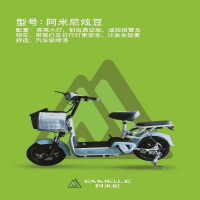 阿米尼电动车TDT8201Z