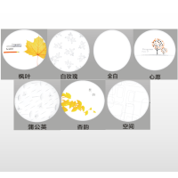 斌翔 LED超薄款科技风吸顶灯12W心愿(10个起定)