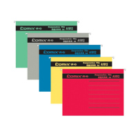 齐心 A1812 易查找吊挂夹 A4 纸质绿色