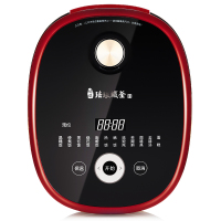 九阳 铁釜电饭煲 F-40T11s