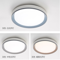 小器鬼 led三色调光吸顶灯圆形现代简约灯具 神韵-灰色-21W 三色调光