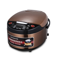 [精选]荣事达 微电脑电饭煲RFB-S50Z16