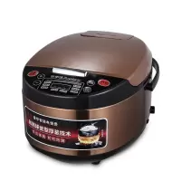 [精选]荣事达 微电脑电饭煲RFB-S50Z16
