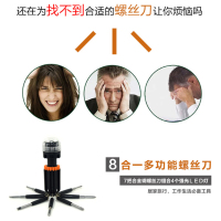 [精选]勃兰匠記 PL-101 多功能螺丝刀