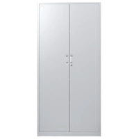 储物铁门文件柜H1800*W850*D390(HQ)