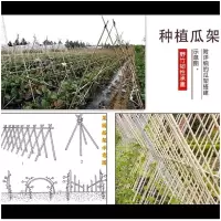 企购优品 竹竿 菜园防腐搭架 竹篱笆 栅栏围栏 2.3m长 5根装 1000根起售