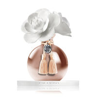 香度 CHANDO 山茶花-CMS414SC