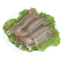 新鲜濑尿虾