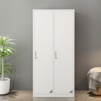 苏美特更衣柜员工柜储物柜铁皮柜存包柜鞋柜碗柜二门更衣