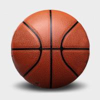 斑马NBA比赛篮球