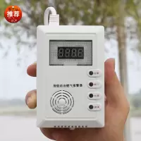 可燃气体检测仪厨房泄露探测器电池款报警器 RQ12 单只装
