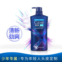 洗发水清扬(CLEAR）650G