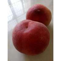 【江苏扶贫】【财政集采】【丰县】自家果园 新鲜 毛桃 10斤装（新鲜水果 采摘后立发）