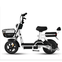 新日可进电梯的国标电动车