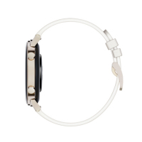 华为/HUAWEI WATCH GT2(42mm) 运动智能手表 [凝霜白]