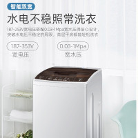 海尔全自动洗衣机 XQB80-Z1269