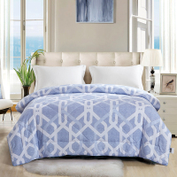 博洋(BEYOND) 芙若拉舒芯被 T41913110301