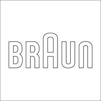 BRAUN 英文组合标 精品发光字 百和仕