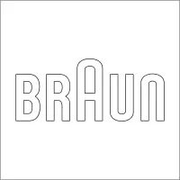 BRAUN 英文组合标 精品发光字 百和仕