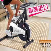 岱宇 DYACO FS300 家用静音动感单车健身车