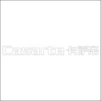 Casarte卡萨帝 中英文组合标 精品发光字 百和仕