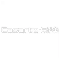 Casarte卡萨帝 中英文组合标 精品发光字 百和仕