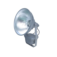 光大 GD-EBF203 防震型投光灯/个