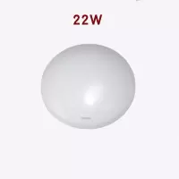 飞利浦 吸顶灯 恒祥LED 22W(单位:只)