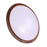 飞利浦 吸顶灯 恒源LED调光 30W(单位:只)