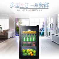 海尔(Haier)DS0100A 100升客厅冰箱 保鲜柜 展示柜 饮料柜 侧开门 商务小冰柜 NH5冰箱单台装