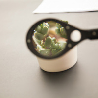 [精选]广博(GuangBo)WQT9107 放大镜(直径60MM) 12个价格