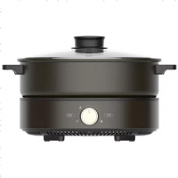 [精选]美的(Midea)DH2601 分体火锅