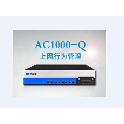 深信服AC-1000-E440-L9 上网行为管理