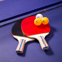 得力安格耐特 F2341乒乓球拍配球_短拍