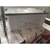骆驼蓄电池 6-QWLZ-200 200A