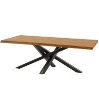 洛克菲勒 LUO KE FEI LE 实木原木会议桌 1.6米