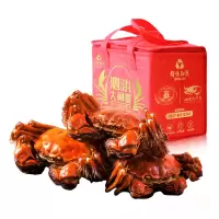 [江苏扶贫][财政集采][泗洪]清水大闸蟹花雕醉蟹公蟹3.0-3.4两 母蟹2.0-2.4两各4只共8只装(10月发货
