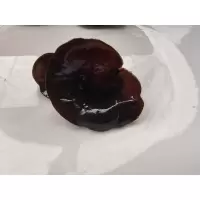 [江苏扶贫][财政集采][丰县]正海菌业木耳(黑)0.5kg 秋木耳 肉厚无根 火锅食材煲汤材料