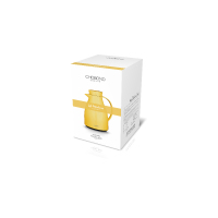 肖邦北欧风情家居壶 CB-P57 （单位：个）