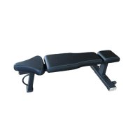 proteam普迪 HF-P116 哑铃练习平椅