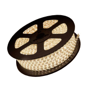 PHILIPS 虹韵系列 标亮款 LED软灯 带高压光带 6500K 白光 50m/卷