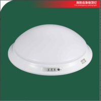 潽洛德(PULODELIGHT)220应急吸顶灯PL3018