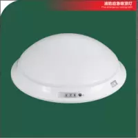 潽洛德(PULODELIGHT)220应急吸顶灯PL3018