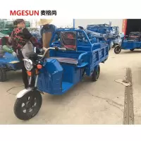 电动三轮车 电动三轮摩托M